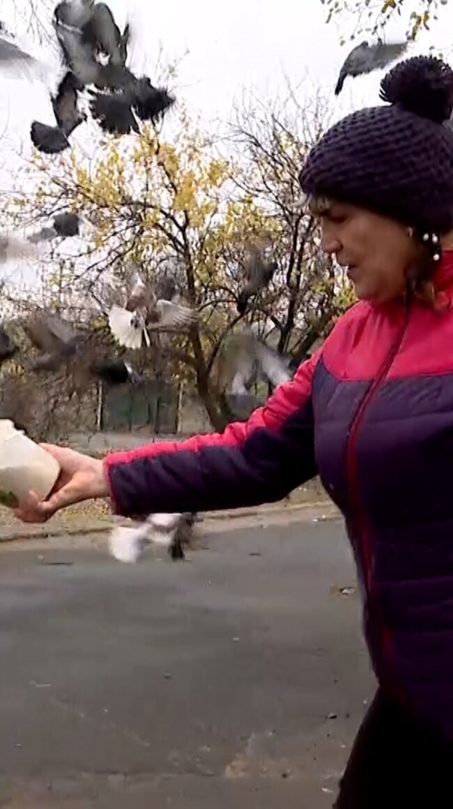 In A Frontline Ukrainian Town, A Woman Says The Birds Will Bring Peace (Video)