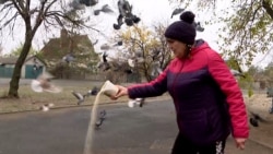 In A Frontline Ukrainian Town, A Woman Says The Birds Will Bring Peace (Video)