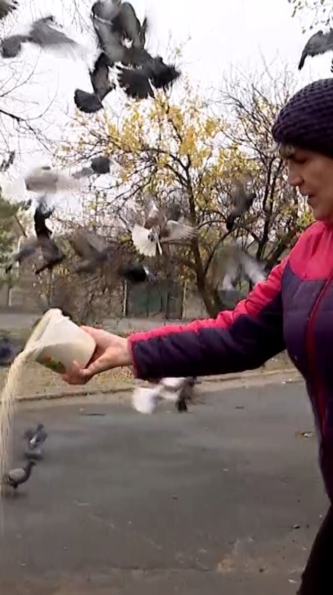 In A Frontline Ukrainian Town, A Woman Says The Birds Will Bring Peace (Video)