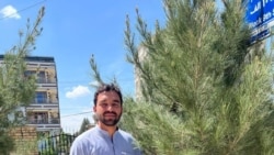 تجلیل موفقیت کاری با نهال شانی