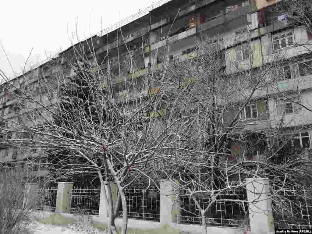 Sanki hər kəs qar tapdalanmasın deyə, onu pəncərədən izləyir.