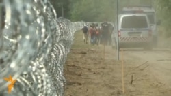 Бранот мигранти пристигна во Унгарија