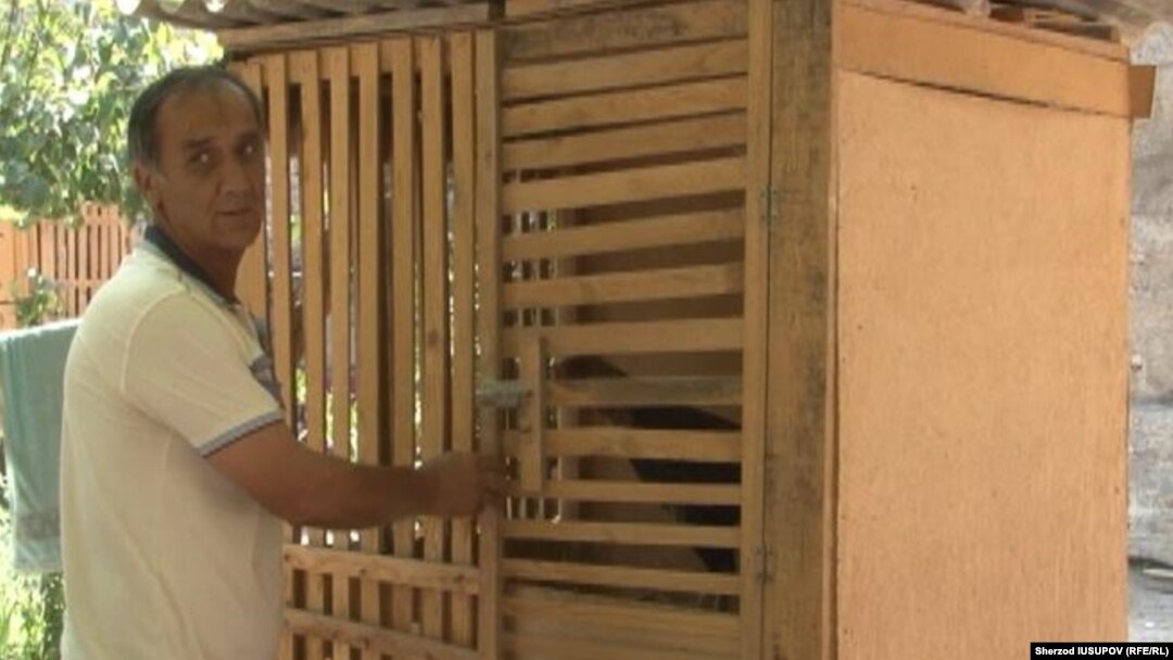 Nemis ayolining mushukining surati