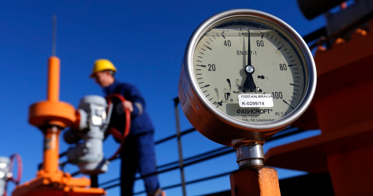 ევროკავშირი რუსული ენერგიის გარეშე: ეკონომიკური დამოუკიდებლობისა და უკრაინის გადარჩენის გზა