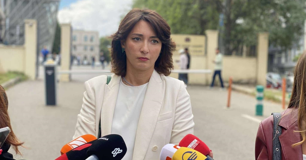 მკითხეს, პირადად მე ვეხმარებოდი თუ არა დაჯარიმებულებს - ეკა გიგაური სასამართლოში გამოიკითხა