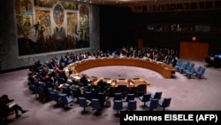 The UN Security Council meeting in New York on August 20.