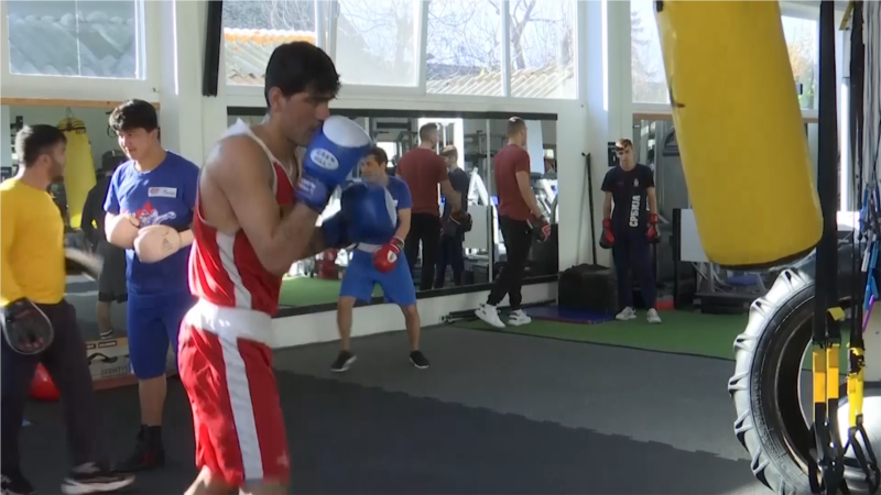 Beograd kao spas za boksere iz Avganistana