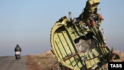 Обломок малайзийского лайнера, погибшего в районе конфликта на востоке Украины (у деревни Грабово Донецкой области, 6 ноября 2014 года)
