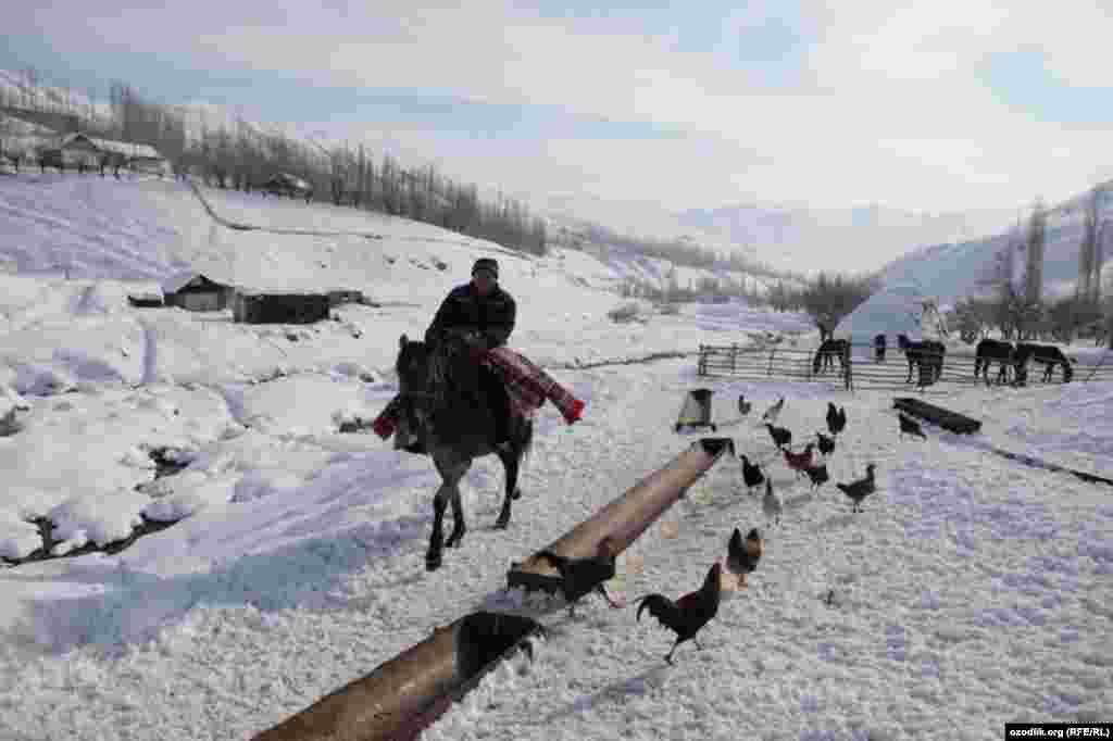 A horseman sets off to take part in the Uzbek national game "kopkari."
