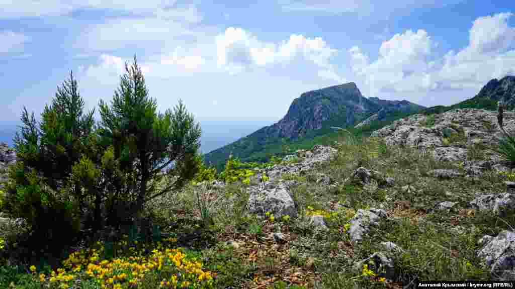 Çelebi massivinde