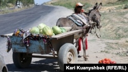 Сарыағаш-Шымкент күрежолы бойында жеміс пен көкөніс сатып тұрған әйел. 26 тамыз 2012 жыл.