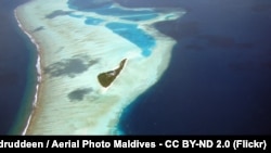 Maldiv adaları