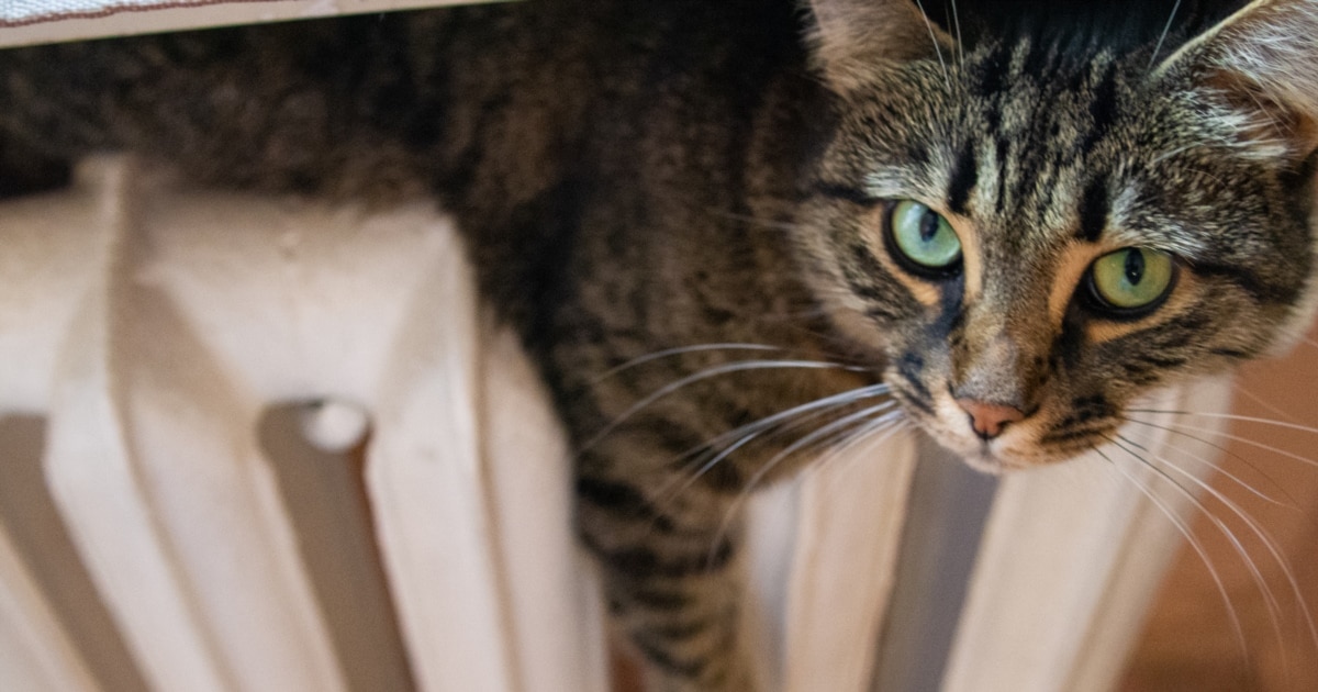 Уряд виділив 8,4 млрд гривень на закупівлі газу для опалювального сезону