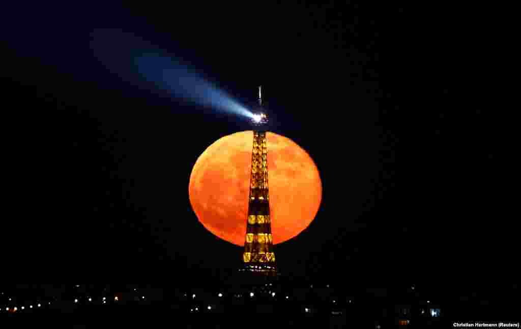 &ldquo;ვარდისფერი სუპერ მთვარე&rdquo; ეიფელის კოშკის უკან. სუპერმთვარეს ეძახიან მოვლენას, როდესაც მთვარე დედამიწასთნ ყველაზე ახლოს მიდის. შედეგად, დედამიწიდან მთვარე ზომით ბევრად უფრო დიდი ჩანს. აპრილის სავსე მთვარეს "ვარდისფერი სუპერმთვარე" კი აპრილის თვეში მცენარეების ვარდისფერი შეფერილობის გამო უწოდეს.&nbsp; 📸: REUTERS/Christian Hartmann 