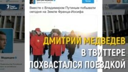 "Пингвины крякали и просили домик?"