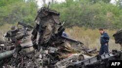 Спасатель на обломках малайзийского лайнера в Донецкой области Украины. 18 июля 2014 года. 