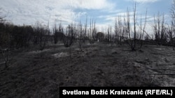 Selo Šušare u Deliblatskoj peščari gde je prošao požar, 24. avgust 2026.
