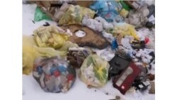 Свалка в Ульяновской области