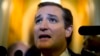 U.S. Senator Ted Cruz, a Texas Republican, speaks to the press after leaving the U.S. Senate Chamber after a marathon attack on Obamacare on September 25.