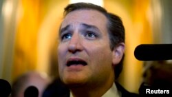 U.S. Senator Ted Cruz, a Texas Republican, speaks to the press after leaving the U.S. Senate Chamber after a marathon attack on Obamacare on September 25.