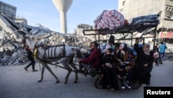 Palestinezë të zhvendosur duke udhëtuar drejt shtëpisë së tyre, gjatë një armëpushimi të përkohshëm ndërmjet Izraelit dhe Hamasit, në Han Junis, Gazë, më 24 nëntor 2023.