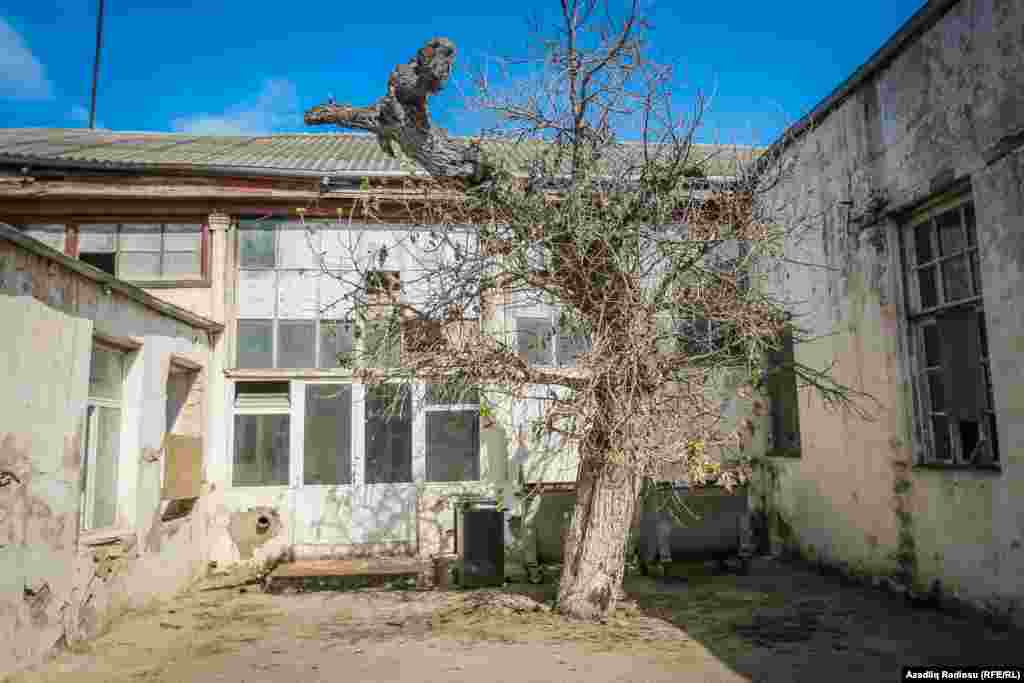 Tağıyevin atlarının saxlandığı tövlə. Hazırda təmir olunuaraq 2 saylı Ağ Ciyər Xəstəlikləri Dispanserinin balansına verilib