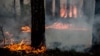 Дагестан на пороге лесных пожаров