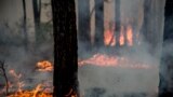 Smoke from nearby forest fires rises near the Chernobyl nuclear power plant on June 4.