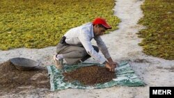 آرشیف، عکس جنبه تزئینی دارد.