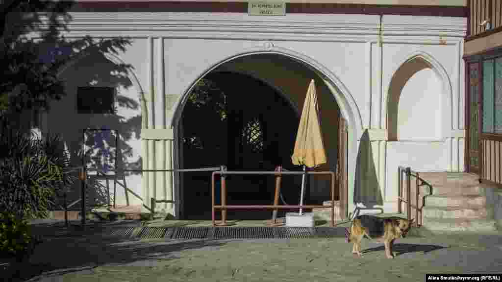 Местный пес греется на солнце возле входа в жилые покои хана 