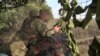 «Тільки ми мали відходити – почався обстріл із гранатометів» – українські військові (відео)