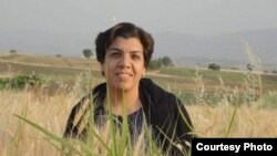پروین محمدی، فعال کارگری