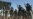 Iraq Takes Control Of Its Armed Forces