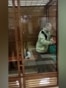 American Stephen Hubbard Freed After More Than Four Years In Russian Custody