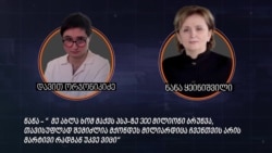 ნანა ყეინიშვილი საუბრობს, რომ ფლობს სების მიერ რეგულირებულ 300 მილიონიანი ბრუნვის მქონე კომპანიას, „ვიპ ფეის“