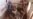 herat sesame grab