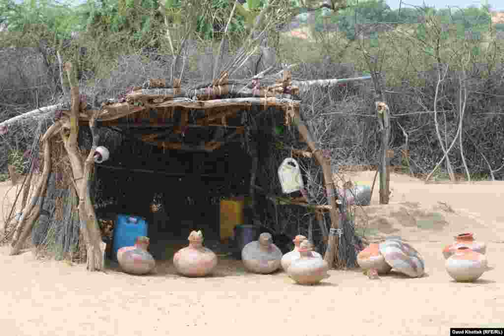 To collect water often from long distances, Tharparkar residents often carry clay pitchers. But this year has been different, with locals saying there has been the most rain since 2011.