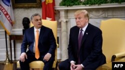 دونالد ترامپ در جریان دیدار خود با ویکتور اوربان، نخست‌وزیر مجارستان در کاخ سفید.