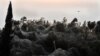 A unique 1,000-meter-long long spider web covers the road beside the Vistonida lake near Xanthi, Greece.&nbsp;Warmer weather conditions in Greece and an increase in the mosquito population are thought to have contributed to the rise in the number of spiders. (AFP/Sakis Mitrolidis)