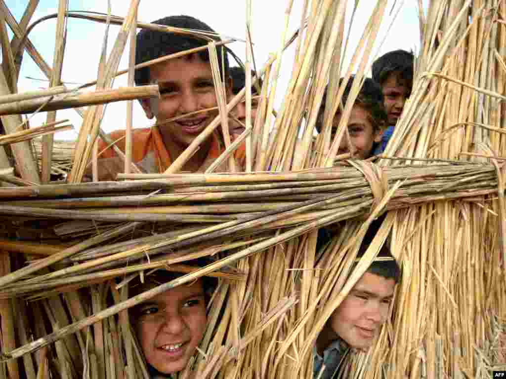 Iraqi children look through the dry reeds used to construct a home in the marshes southwest of Al-Basrah. - Photo by Essam Al-Sudani for AFP.