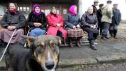 Ми разом: Чи стало в Україні менше бідних?