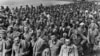 Радянські військовополонені під Харковом. Червень 1942 року. Німецьке фото