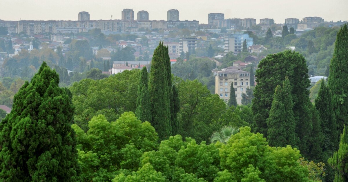 ოკუპირებულ აფხაზეთში თურქეთის კიდევ ერთი მოქალაქე დააკავეს - რაში ადანაშაულებენ კადირ იოზდორს?