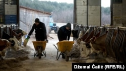 Jedna od farmi