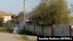 Saatlı, odun baha olduğundan sakinlər yulğun ağaclarını yandırırlar