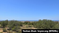 Вид с крыши КДП