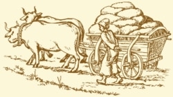 Ілюстраційний малюнок із зображенням чумака з мішками солі на воз