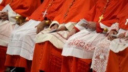 Cardinalii electori se adună în Capela Sixtină, izolați de restul lumii și aleg noul papă. 