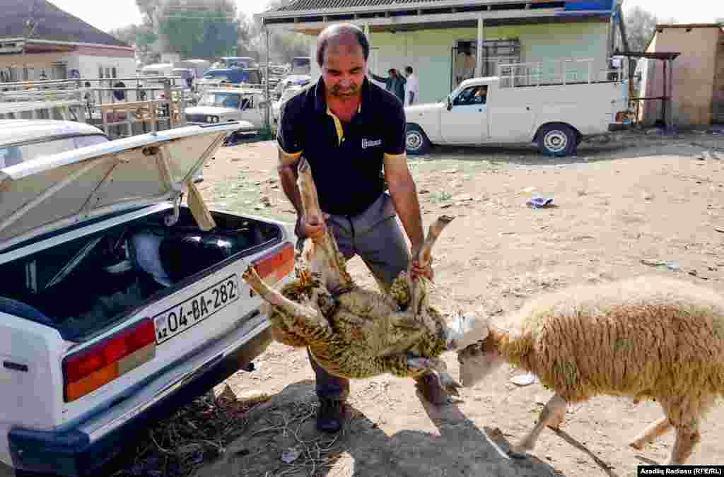 Nadir deyir ki, xeyir iş üçün heyvan alanda satıcı az da olsa qiyməti aşağı edir. 