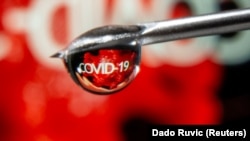 Слово «COVID-19» отражено в капле на игле шприца - иллюстративное фото.